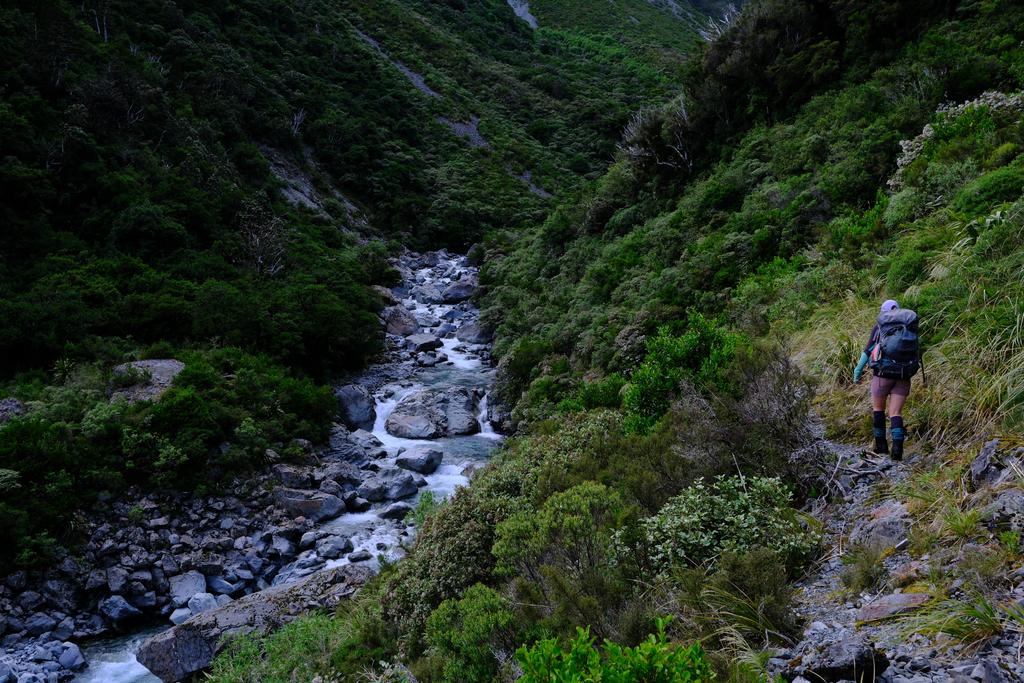 The track up to Harman Pass is very well-formed and cut near Julia Hut.