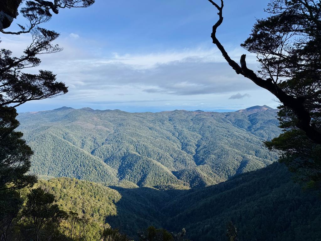 Stunning views back toward the Pelorus River.