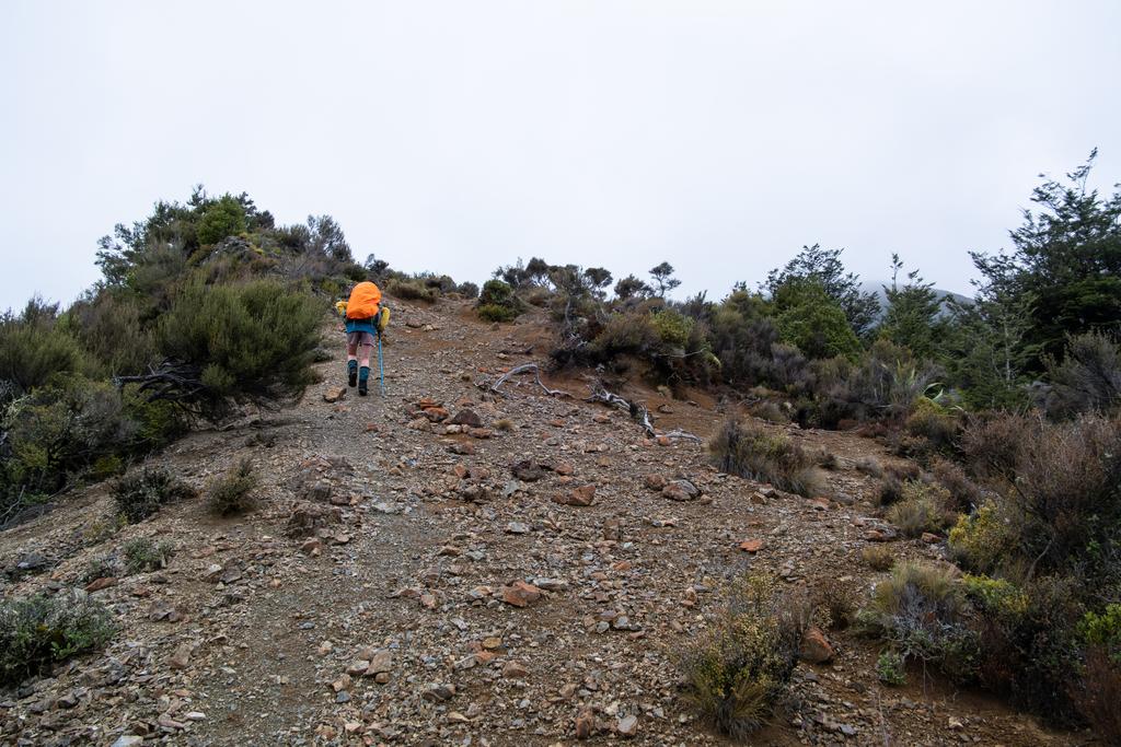 5 May, 2026 at 11:55am

Jen slogging it up to the ridge track from Kiwi Creek.
📷 Finn Le Sueur

FUJIFILM X-S20
18-300mm F/3.5-6.3 DiIII-A VC VXD B061X
640
<span>%!s(float64=7.1) ISO<s/span> <span>f/18</span> <span>%!d(string=1/240)mm</span> <span>%!s(MISSING)s</span>
