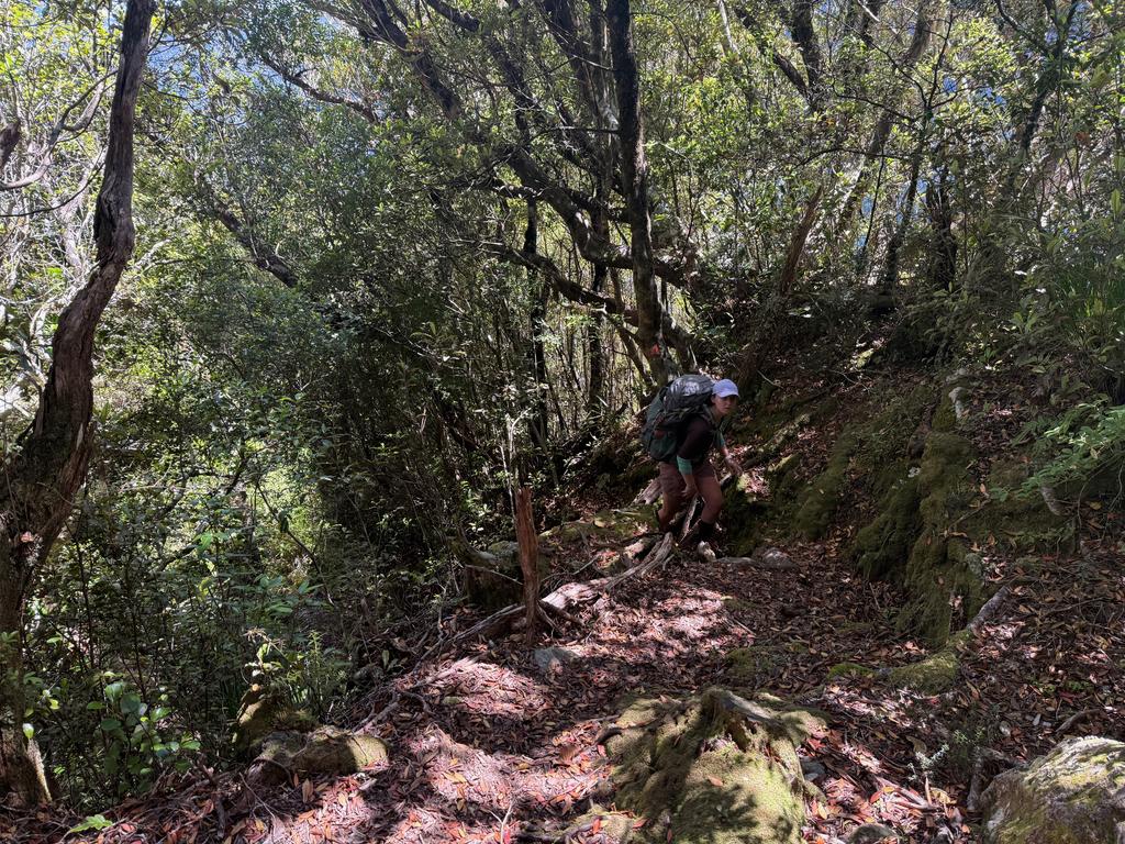 Jen suffering in the heat on the long climb up to Kelly Range above Seven Mile Creek.