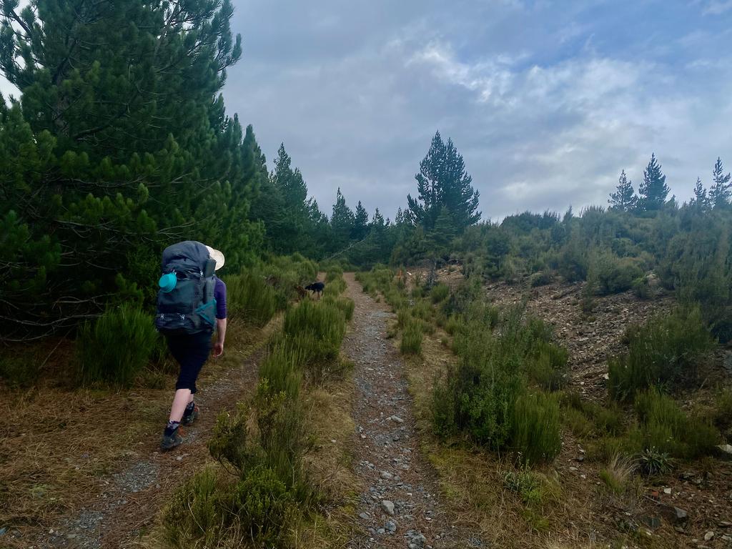 Jen and Korra just before Mt Thomas summit.