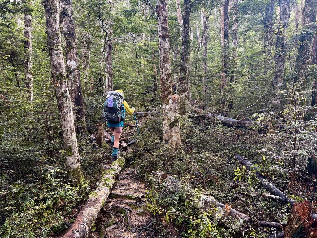 Heading back up to Old Man after some sleep. Legs still feeling tired!