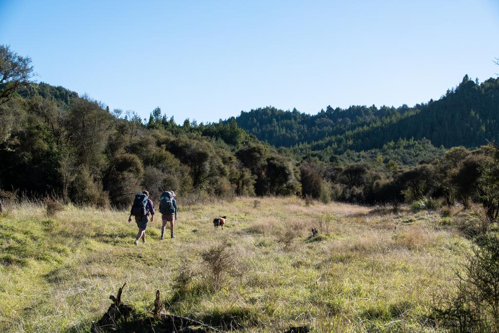 5 May, 2026 at 3:20pm
This clearing would have made a great camping spot if you only wanted to walk an hour and a half.
📷 Finn Le Sueur
FUJIFILM X-S20
18-300mm F/3.5-6.3 DiIII-A VC VXD B061X
640
<span>%!s(float64=5.6) ISO<s/span> <span>f/39</span> <span>%!d(string=1/1400)mm</span> <span>%!s(MISSING)s</span>