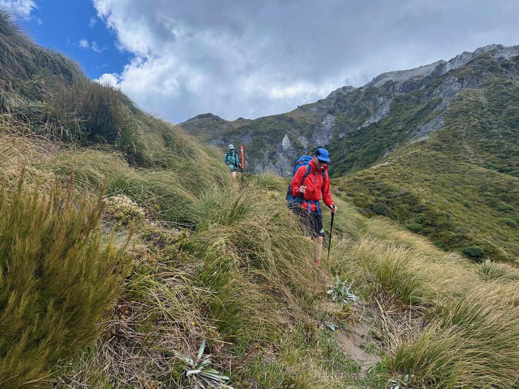 Back in the tussock on the way to the Hāpuku River.