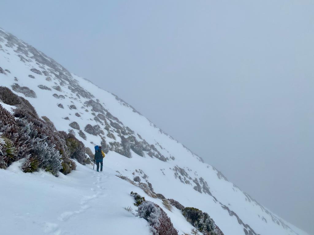 Trundling along towards Forest Burn Shelter.