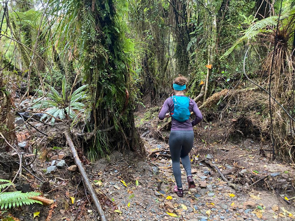 Follow the orange triangles!