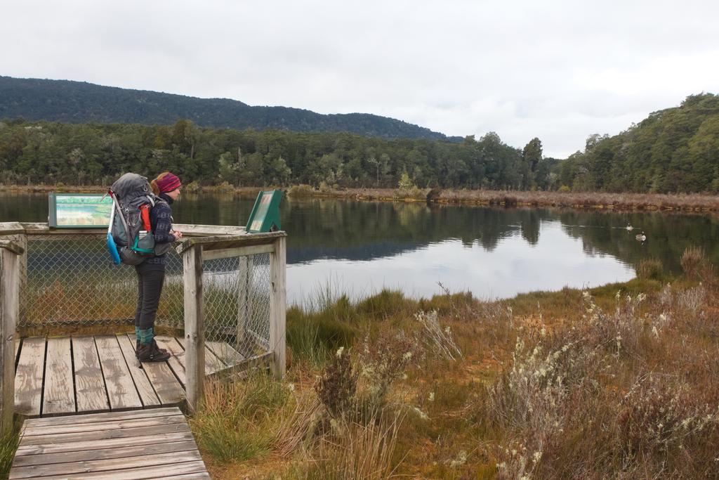 Peat bog and caniverous plants.