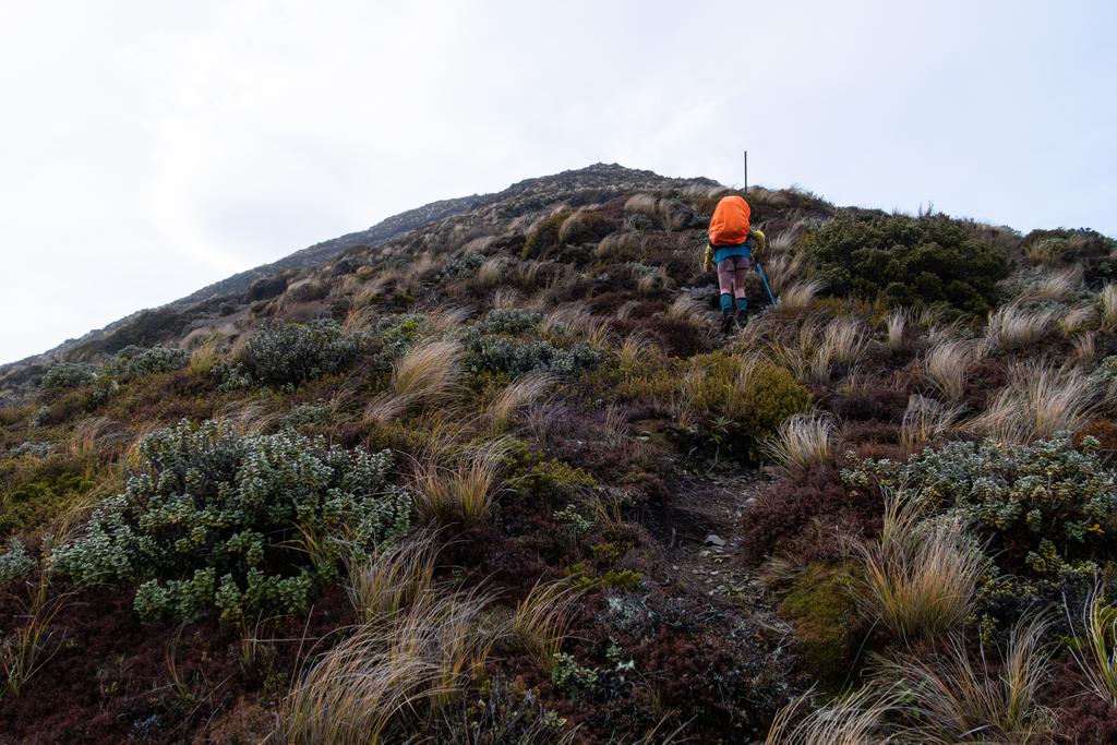 6 June, 2026 at 8:26am

Slogging it back up to the knoll first thing in the morning. What a grunt!
📷 Finn Le Sueur

FUJIFILM X-S20
18-300mm F/3.5-6.3 DiIII-A VC VXD B061X
640
<span>%!s(float64=9) ISO<s/span> <span>f/18</span> <span>%!d(string=1/210)mm</span> <span>%!s(MISSING)s</span>