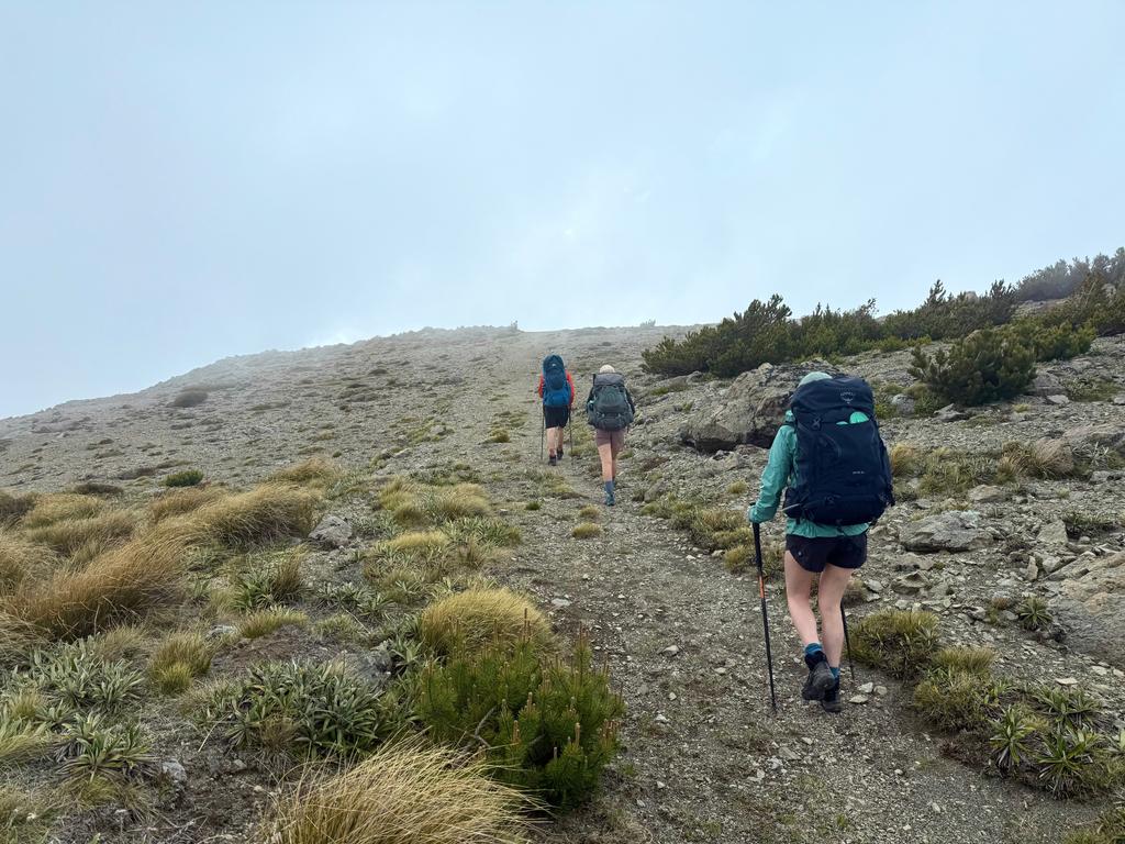 Into the cloud not far from the summit of Mt Fyffe.
