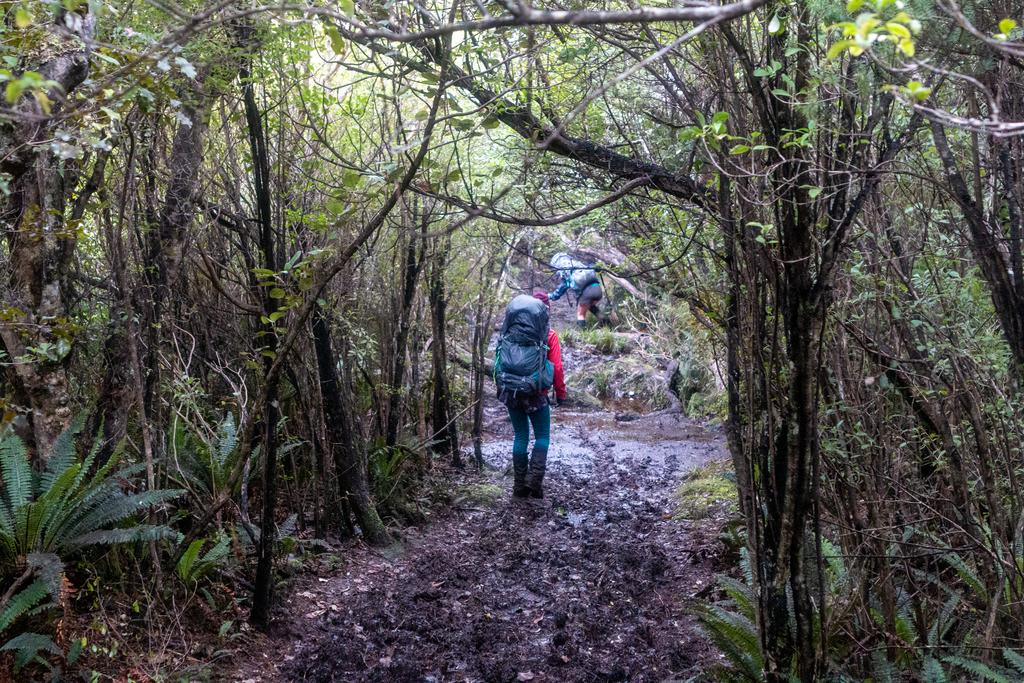 Some classic Rakiura mud.