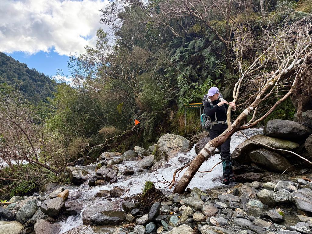 A small agility warmup for the trip.