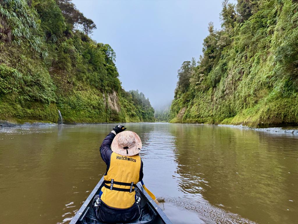 I loved the sheer cliffs and the ferns.