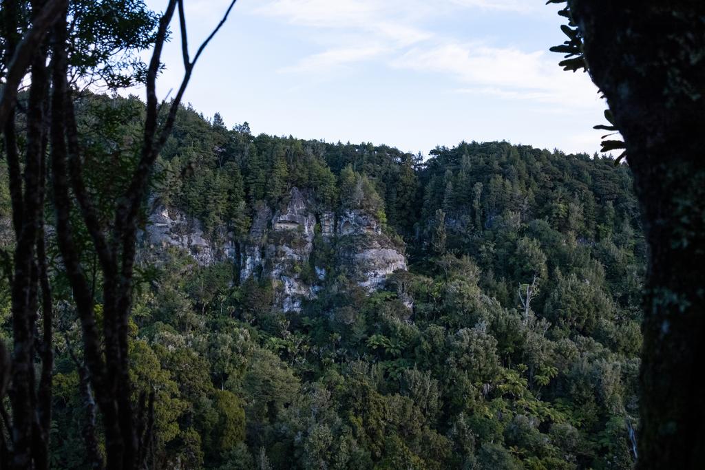 7 July, 2026 at 4:26pm

Looking out across the valley to some limestone cliffs.
📷 Finn Le Sueur

FUJIFILM X-S20
18-300mm F/3.5-6.3 DiIII-A VC VXD B061X
1250
<span>%!s(float64=8) ISO<s/span> <span>f/29</span> <span>%!d(string=1/200)mm</span> <span>%!s(MISSING)s</span>