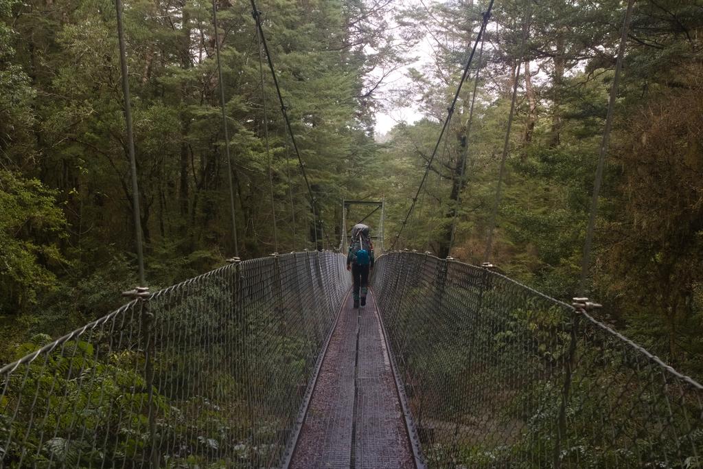 Always a fan of a bridge.