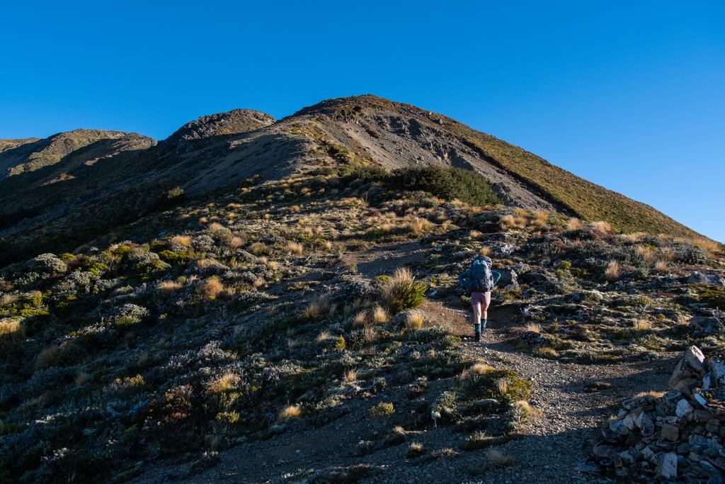 5 May, 2026 at 9:08am

Jen working hard, with the spur stretching out in front of us.
📷 Finn Le Sueur

FUJIFILM X-S20
18-300mm F/3.5-6.3 DiIII-A VC VXD B061X
640
<span>%!s(float64=8) ISO<s/span> <span>f/18</span> <span>%!d(string=1/600)mm</span> <span>%!s(MISSING)s</span>