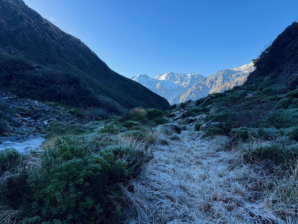 We didn't get into the sun properly for the whole day. Plenty of frost, though!