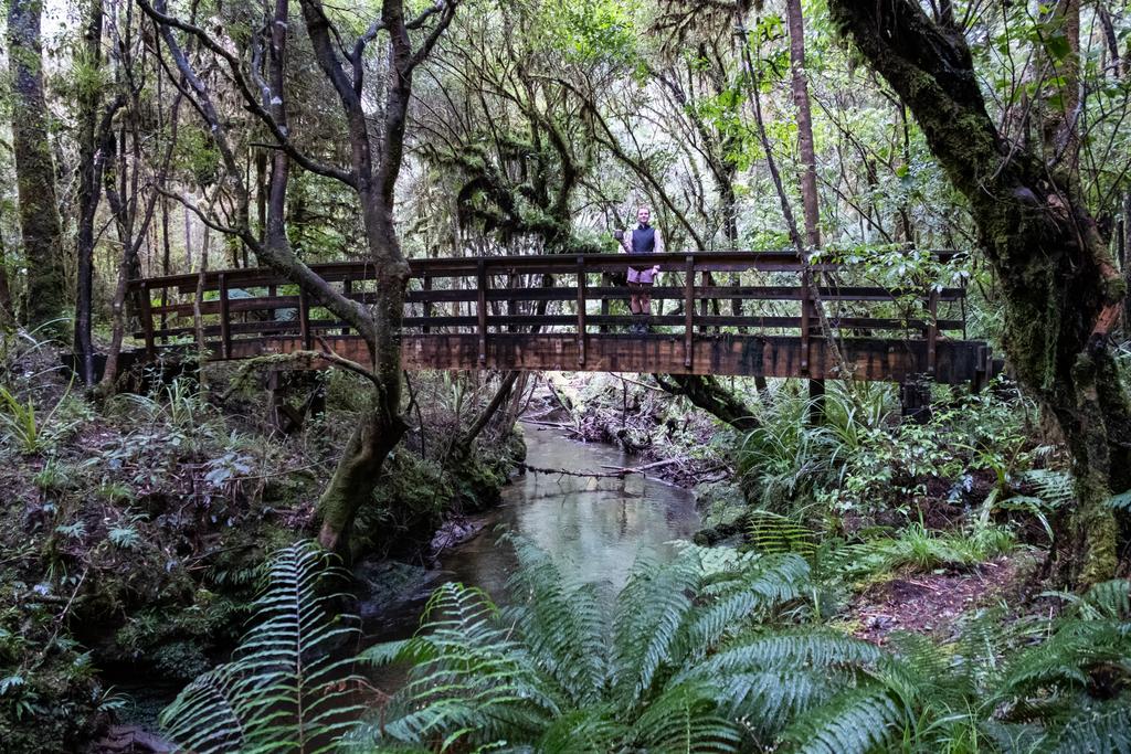 7 July, 2026 at 1:07pm

Coffee in hand, a great bridge, and an excellent forest. What more could one need?
📷 Finn Le Sueur

FUJIFILM X-S20
18-300mm F/3.5-6.3 DiIII-A VC VXD B061X
6400
<span>%!s(float64=5) ISO<s/span> <span>f/18</span> <span>%!d(string=1/80)mm</span> <span>%!s(MISSING)s</span>