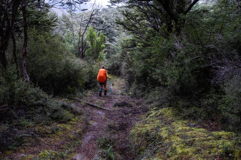6 June, 2026 at 12:58pm

One last slippery section before reaching the Ngahere Loop Track and following it to the carpark.
📷 Finn Le Sueur

FUJIFILM X-S20
18-300mm F/3.5-6.3 DiIII-A VC VXD B061X
6400
<span>%!s(float64=7.1) ISO<s/span> <span>f/18</span> <span>%!d(string=1/125)mm</span> <span>%!s(MISSING)s</span>
