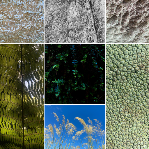 

Patterns of the Pyke
📷 Finn Le Sueur

 


<span>%!s(float64=0) ISO<s/span> <span>f/0</span> <span>%!d(string=)mm</span> <span>%!s(MISSING)s</span>