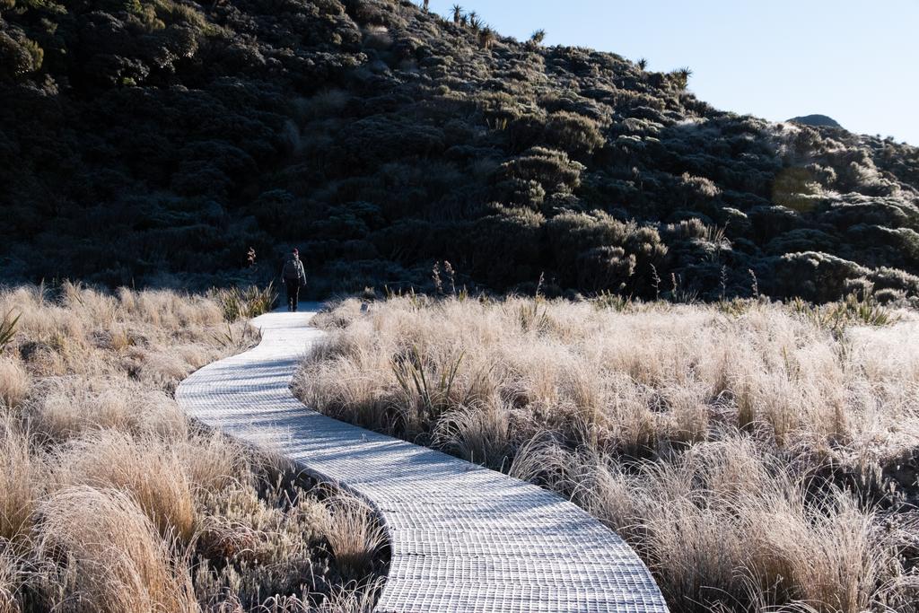 7 July, 2026 at 8:59am

Jen cruising along the frosty boardwalk in Ahukawakawa.
📷 Finn Le Sueur

FUJIFILM X-S20
18-300mm F/3.5-6.3 DiIII-A VC VXD B061X
640
<span>%!s(float64=10) ISO<s/span> <span>f/32</span> <span>%!d(string=1/420)mm</span> <span>%!s(MISSING)s</span>