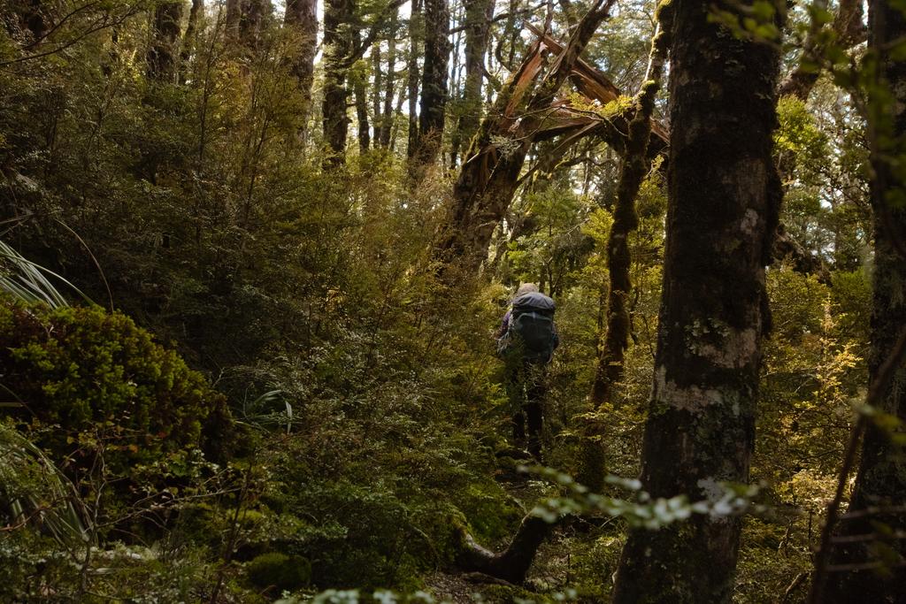 Jen descending alongside Kendron River to Doubtless Hut