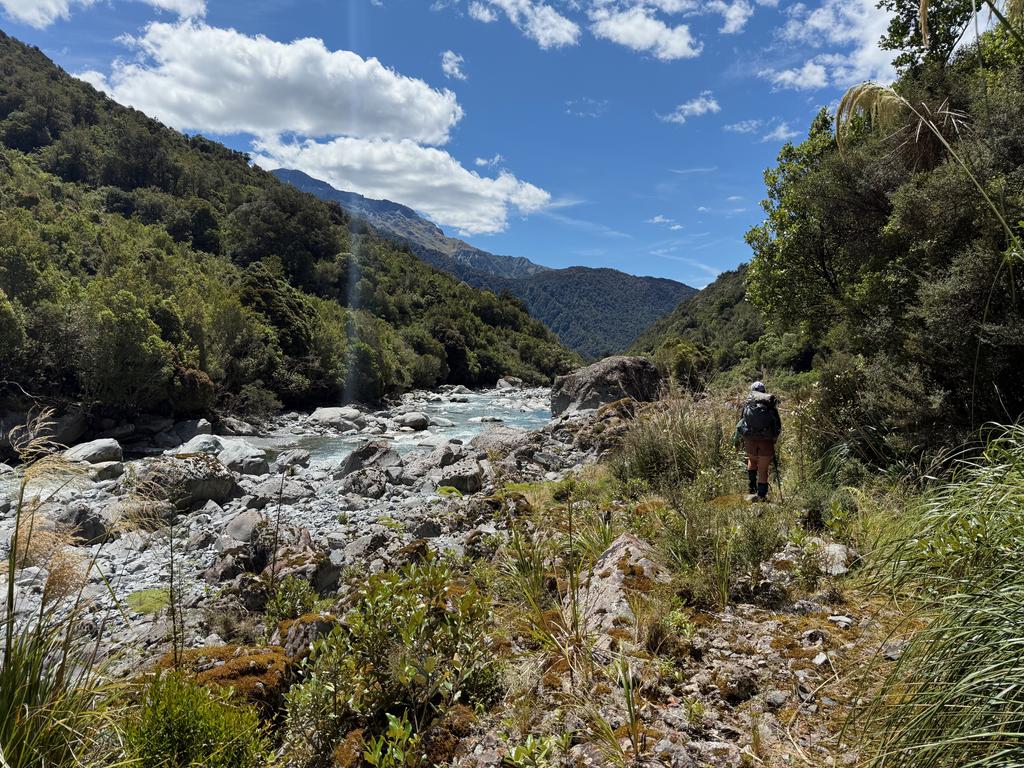 The cruisy Taipo River track just above Mid Taipo Hut.