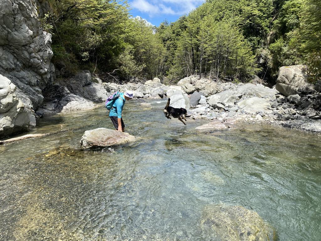 Sometimes she tried to jump the stream. It never worked out very well.