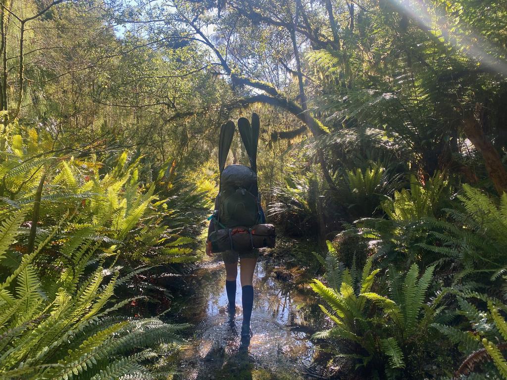 Heading up to the Pyke in the lush forest.