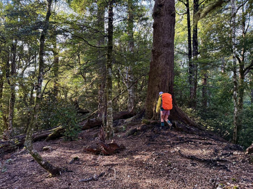Some of the ridgeline was nice and wide, offering easy travel.