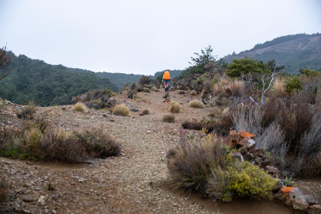 5 May, 2026 at 11:57am

Not far to the hut!
📷 Finn Le Sueur

FUJIFILM X-S20
18-300mm F/3.5-6.3 DiIII-A VC VXD B061X
640
<span>%!s(float64=4) ISO<s/span> <span>f/32</span> <span>%!d(string=1/500)mm</span> <span>%!s(MISSING)s</span>