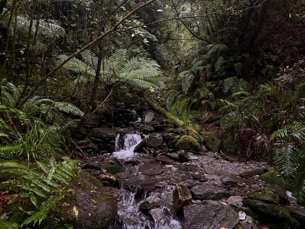 One of the many lush-looking creeks on the route.