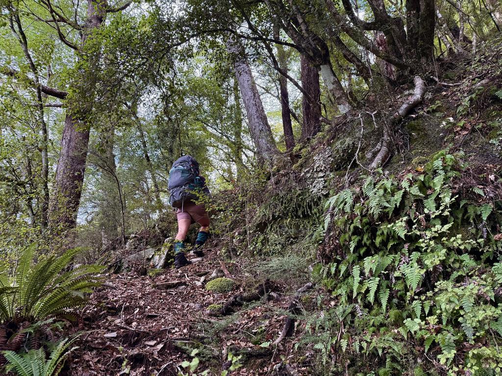 Grinding up the very steep face with our heavily laden packs.