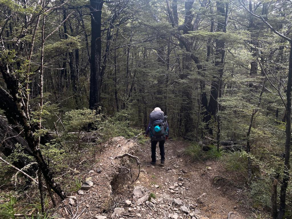 Jen descending towards Wooded Gully Track junction.