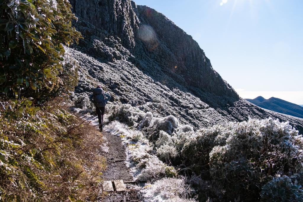 7 July, 2026 at 1:59pm

Heading along Holly Hut Track surrounded by frozen plants!
📷 Finn Le Sueur

FUJIFILM X-S20
18-300mm F/3.5-6.3 DiIII-A VC VXD B061X
640
<span>%!s(float64=10) ISO<s/span> <span>f/18</span> <span>%!d(string=1/600)mm</span> <span>%!s(MISSING)s</span>