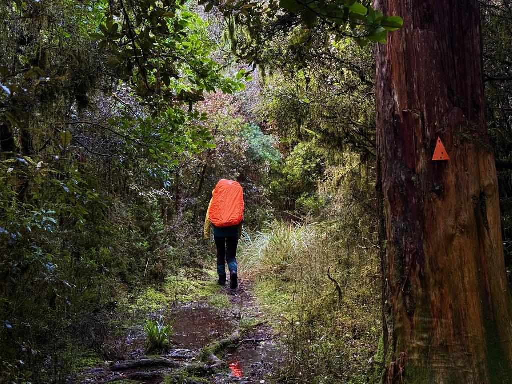 An orange pack cover always makes for good photos.