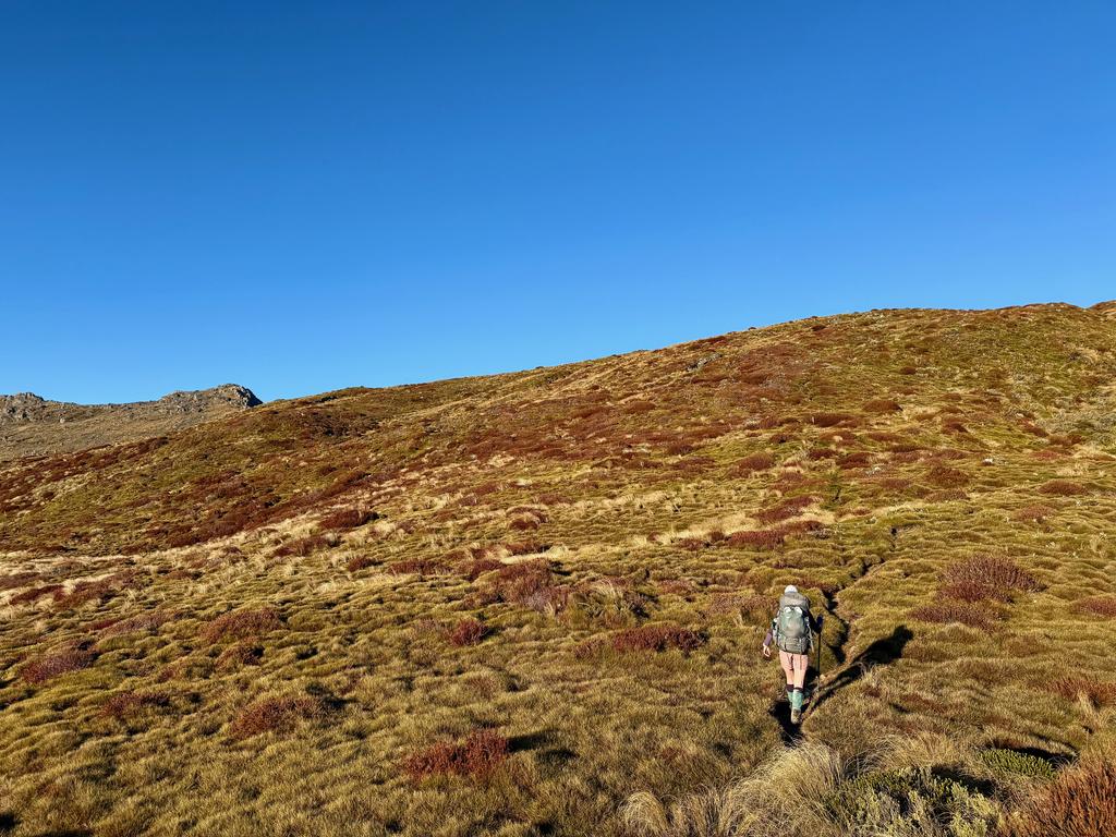 Jen powering along the trail toward Johnston Peak.