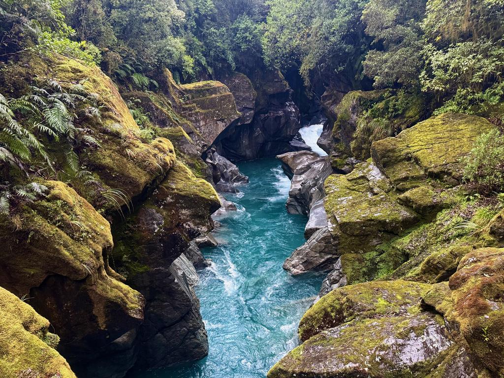 Whakarira Gorge looking absolutely stunning.
