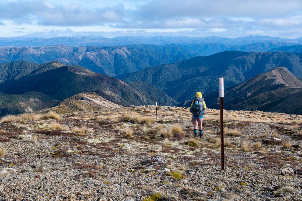 5 May, 2026 at 10:30am

The view down Back Ridge toward the hut, which is situated in a little valley where it joins with the incoming ridge from the left.
📷 Finn Le Sueur

FUJIFILM X-S20
18-300mm F/3.5-6.3 DiIII-A VC VXD B061X
640
<span>%!s(float64=8) ISO<s/span> <span>f/32</span> <span>%!d(string=1/800)mm</span> <span>%!s(MISSING)s</span>