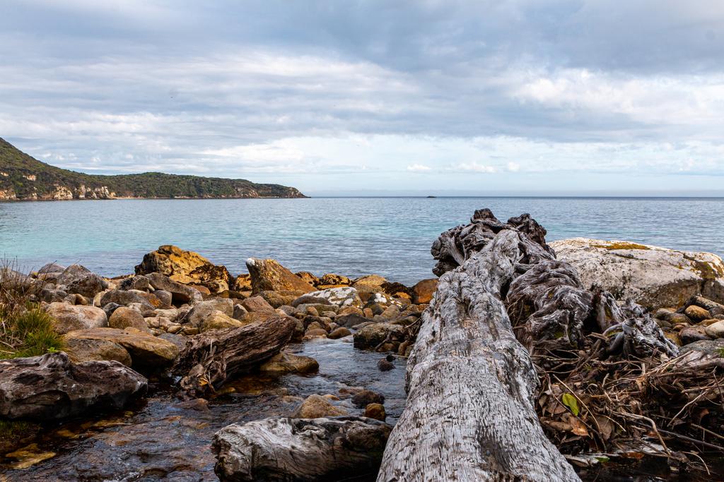 Logs by the ocean near Long Harry Hut