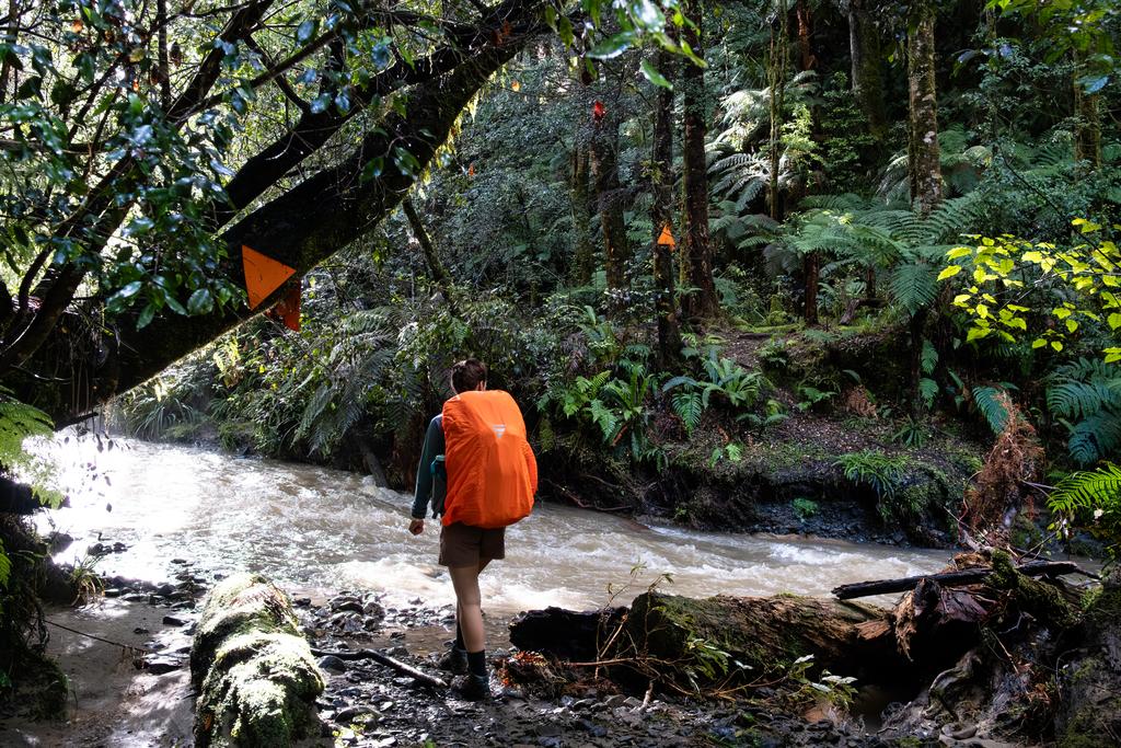 Taumutu Stream looking a little brown after the rain!