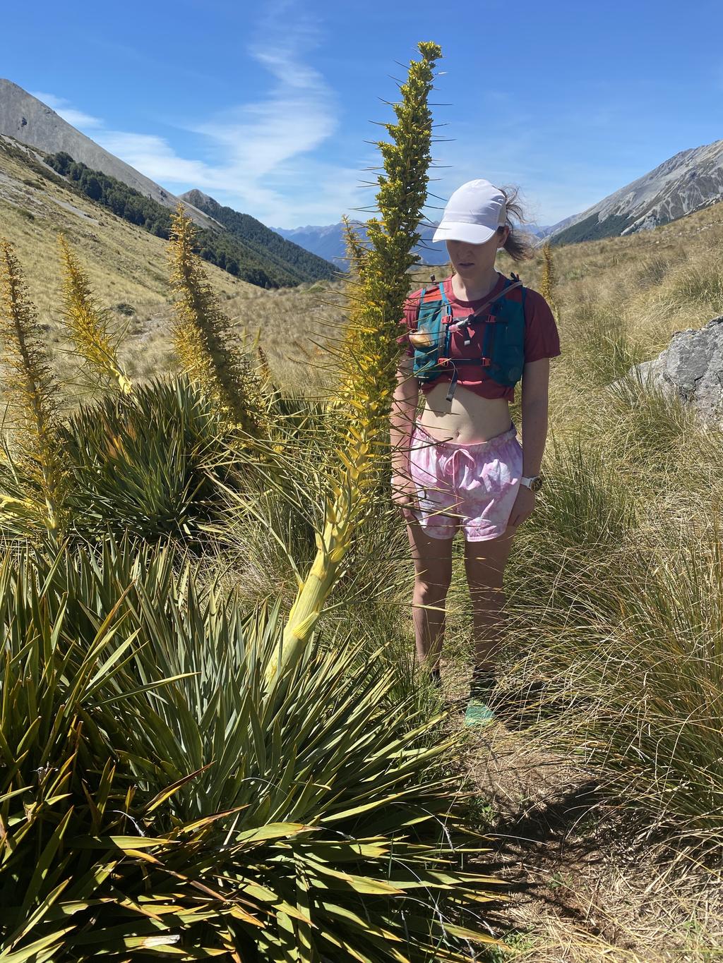 Spaniard. Jen for scale. 😨