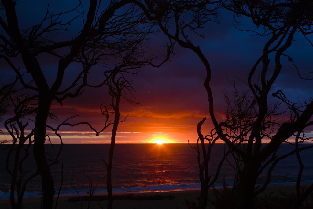 Sunrise from Anapai Campsite