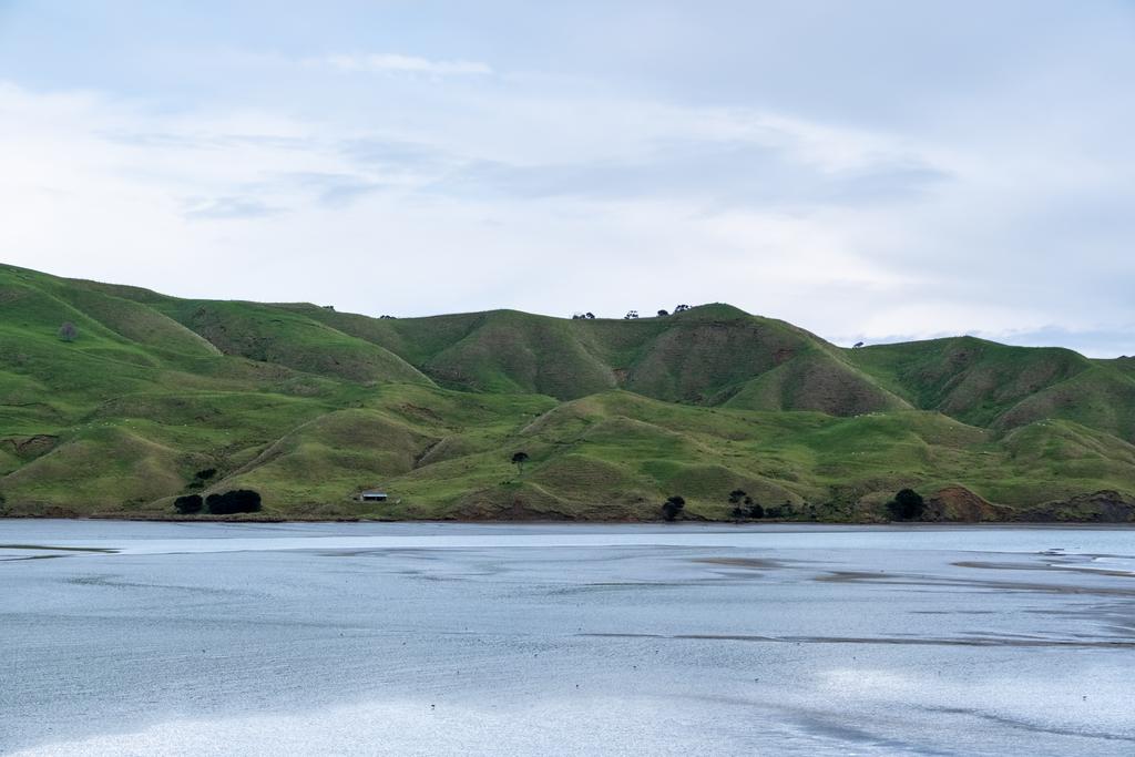 7 July, 2026 at 10:36am

A lone barn/shed sits on the shore near Te Waitere.
📷 Finn Le Sueur

FUJIFILM X-S20
18-300mm F/3.5-6.3 DiIII-A VC VXD B061X
640
<span>%!s(float64=9) ISO<s/span> <span>f/55</span> <span>%!d(string=1/420)mm</span> <span>%!s(MISSING)s</span>