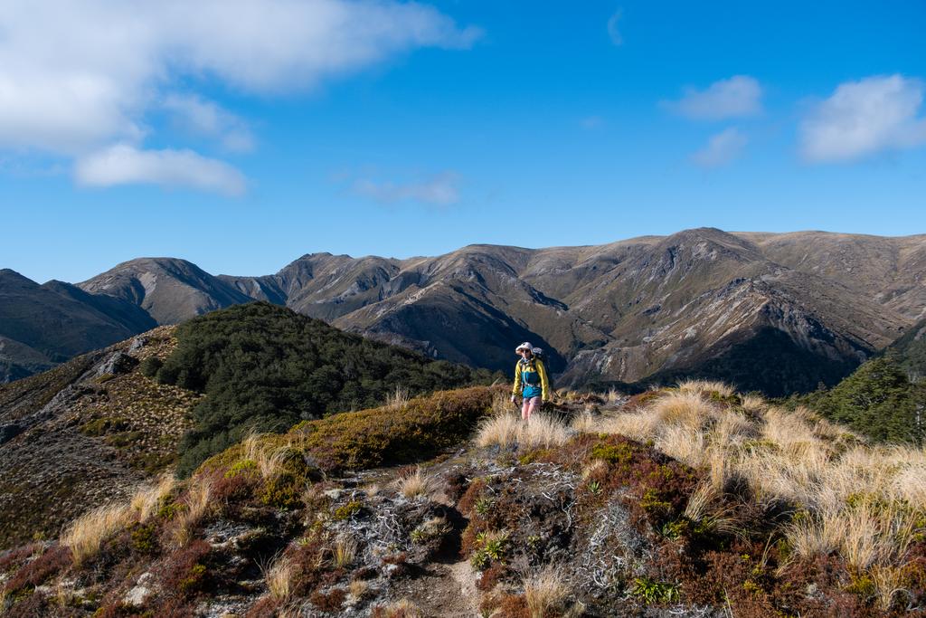 5 May, 2026 at 12:47pm

Jen traversing some of the open tops on the way to Back Ridge Biv.
📷 Finn Le Sueur

FUJIFILM X-S20
18-300mm F/3.5-6.3 DiIII-A VC VXD B061X
640
<span>%!s(float64=8) ISO<s/span> <span>f/23</span> <span>%!d(string=1/1250)mm</span> <span>%!s(MISSING)s</span>