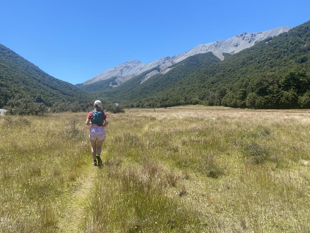 The valley flats by Hamilton Hut.