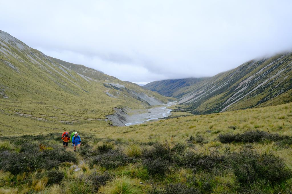 Watch out for the matagouri.