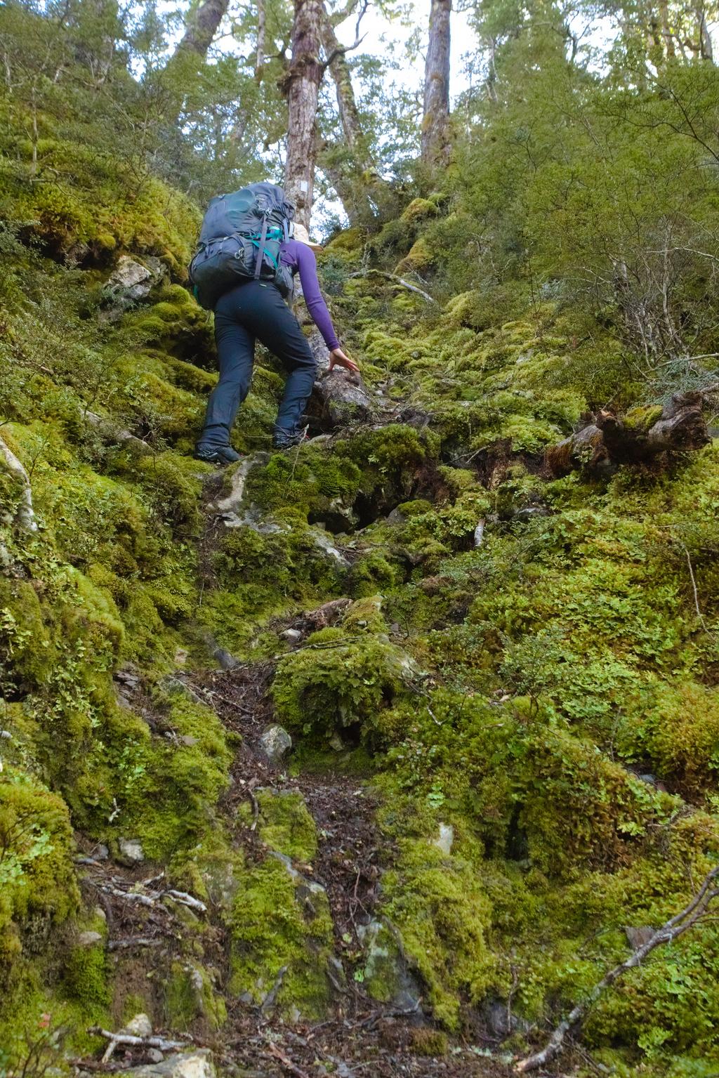 Jen right at the start of the climb to Lake Man Biv. It gets better.