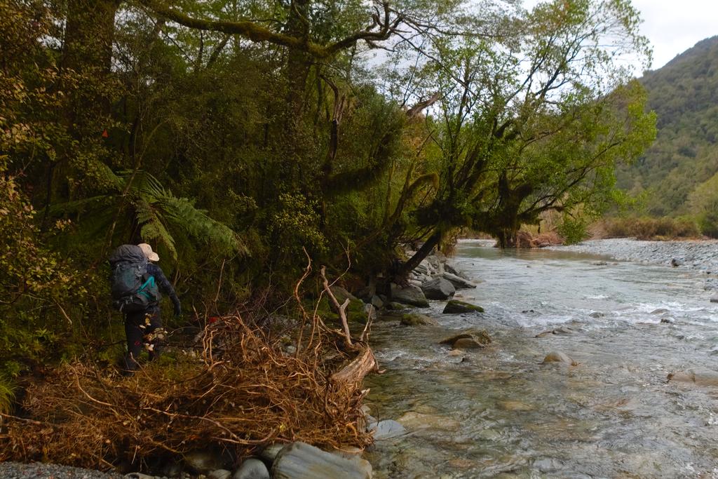 The track got erroded into the Crooked River at times!