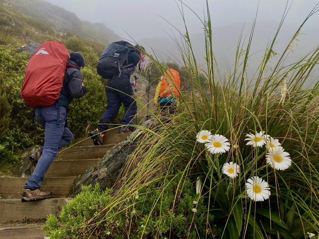 At least the nature is beautiful!