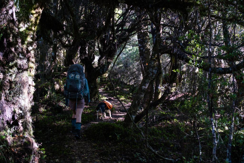 4 April, 2026 at 1:54pm

Some of the bushed saddle on the way to Urchin.
📷 Finn Le Sueur

FUJIFILM X-S20
18-300mm F/3.5-6.3 DiIII-A VC VXD B061X
3200
<span>%!s(float64=4) ISO<s/span> <span>f/27</span> <span>%!d(string=1/200)mm</span> <span>%!s(MISSING)s</span>